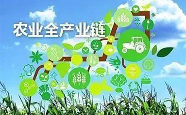 农业产业要着力强链补链