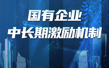 加快发展和完善国有企业中长期激励机制