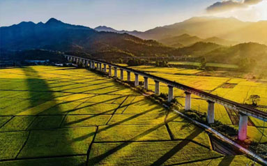 “资本+”混改效应明显 珠江实业重塑发展生态