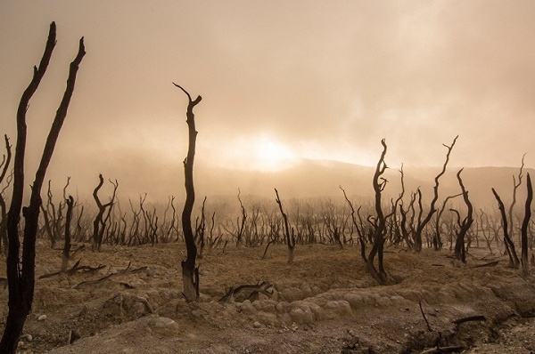 经济学人：美国科技巨头对初创企业形成“绞杀地带”