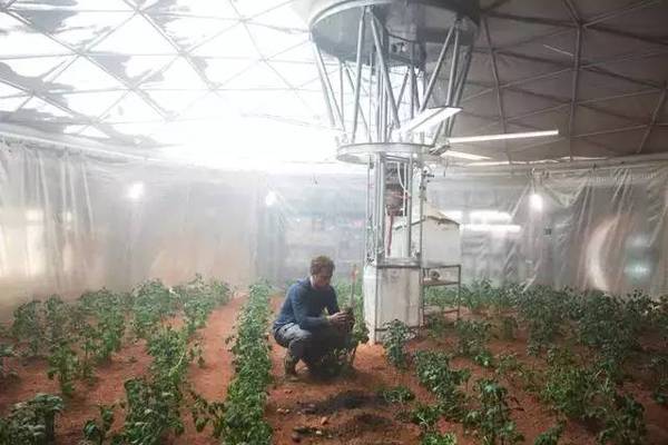 “OKR法”如何帮公司用一手烂牌，打赢强大的对手？