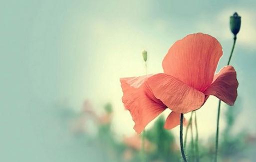 盘点职场新人的快乐:细心聆听为聪明之本