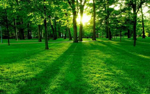 职场上需要注意的事项:竞争并非都带来益处