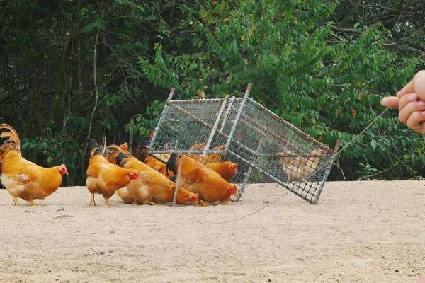 「管理小故事」两则、小故事，揭示商业大道理