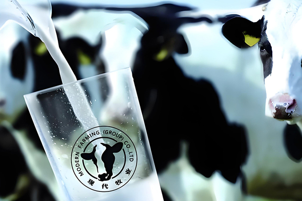 现代牧业与北极星绩效达成合作