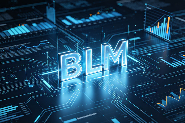 深度拆解：一文读懂BLM战略管理模型